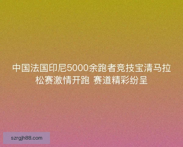 中国法国印尼5000余跑者竞技宝清马拉松赛激情开跑 赛道精彩纷呈