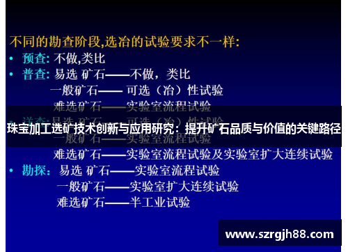 珠宝加工选矿技术创新与应用研究：提升矿石品质与价值的关键路径